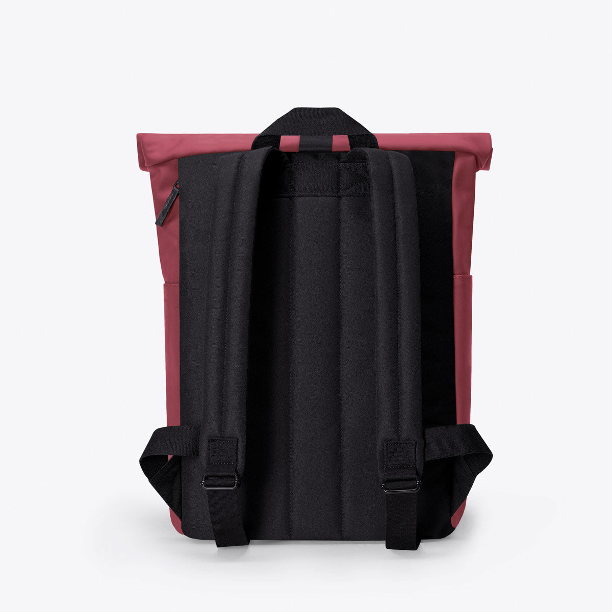 Hajo Roll-Top Backpack - Burgundy / Mini