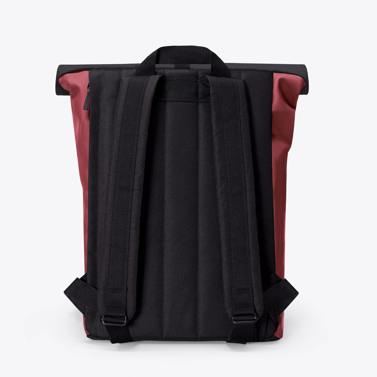 Jannik Roll-Top Backpack - Burgundy - Sand / Mini