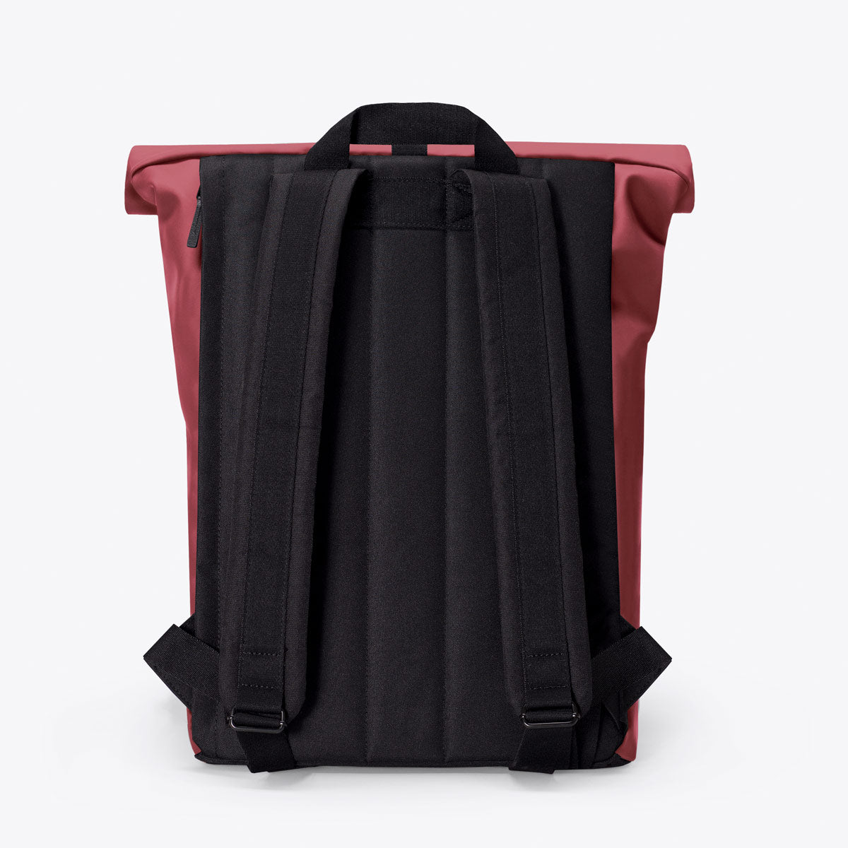 Jannik Roll-Top Backpack - Burgundy / Mini